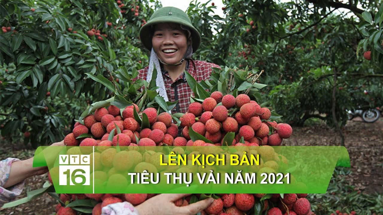 Vì sao xào thịt bò để lửa nhỏ dễ bị dai?