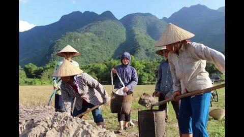 Nốt ruồi khổng lồ phủ kín hộp sọ khiến cậu bé có ngoại hình giống chuột Mickey